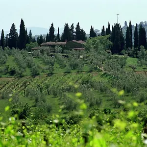 Fattoria Casa Sola Country house Barberino Val d'Elsa